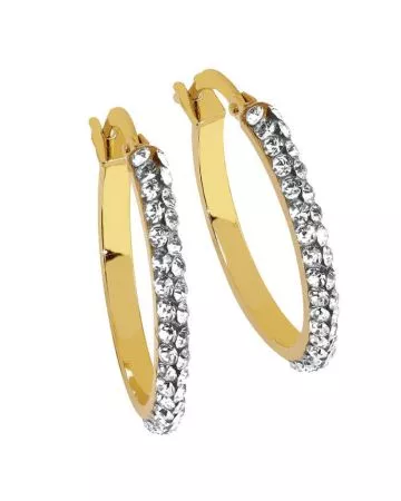 Kultaiset korvakorut E15QDT-15