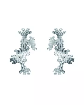 Kalevala Tundra korvakorut 2670321T-1