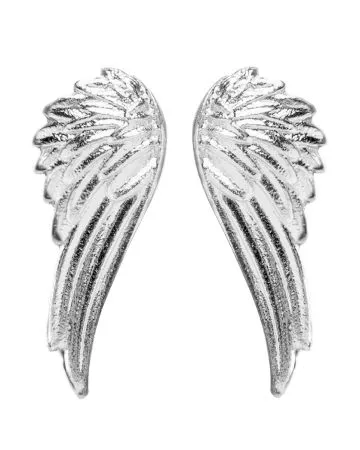 Lumoava Rakkain -korvakorut 540800000