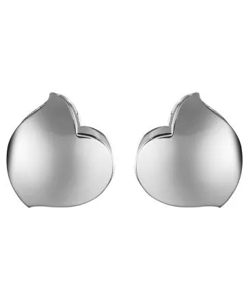 Lumoava Hali -korvakorut (pieni) 546600000