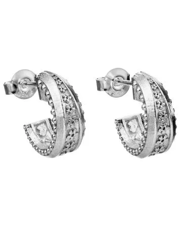 Lumoava Aarre -korvakorut  547300000