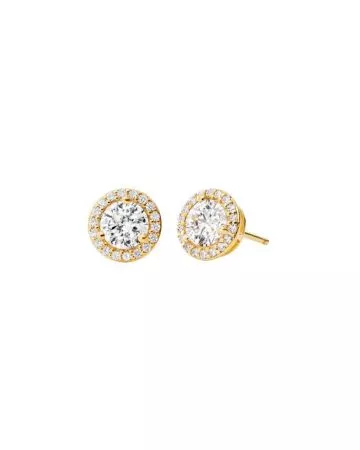 Michael Kors Premium Earrings MKC1035AN710