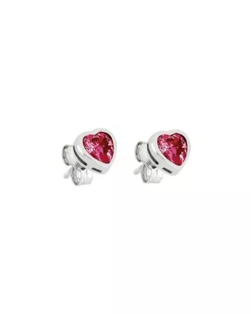 Silver Earrings PAQ8002E 1.5M-A-336-RH