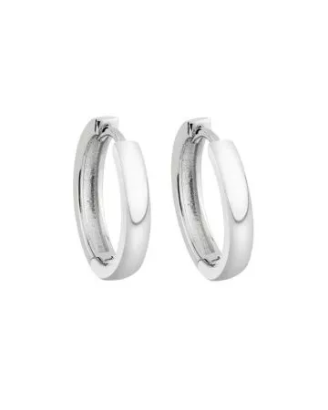 Silver earrings CE04518