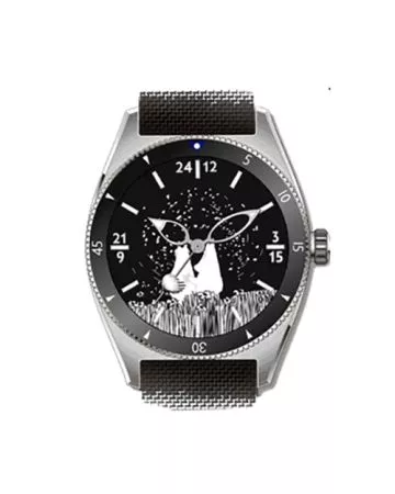 Pook Watches Moomin Edition Pyrstötähti