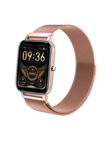 Reebok Relay älykello RELAY GOLD