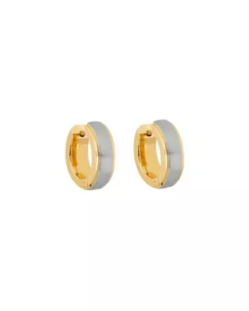 Titanium Earrings STE-2485 IPG