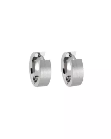 Titanium Earrings STE-4896M