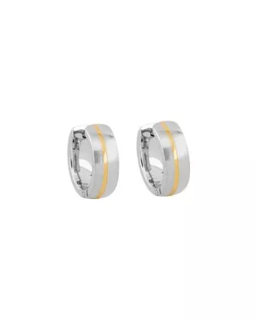 Titaaniset korvakorut STE-4898M TT IPG