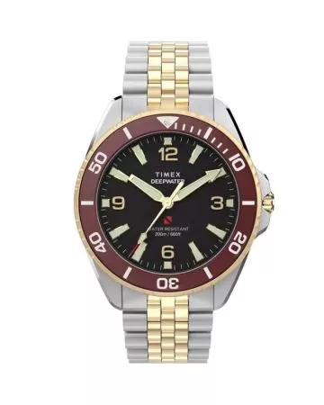 Timex DeepWater Arctic TW2Y64700