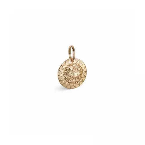 Kalevala Amuletti Aurinkoleijona hela 14K 18703131-1