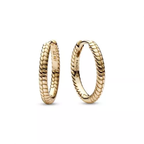 Pandora Moments Small Charm Hoop Ohrringe 262728C00-1