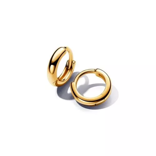 Pandora Essence korvakorut 263286C00-1