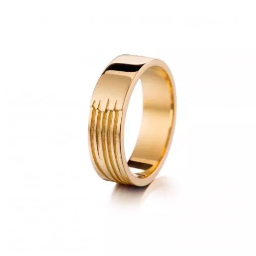 Lumoava Taival -Gold Ring 726000000-1
