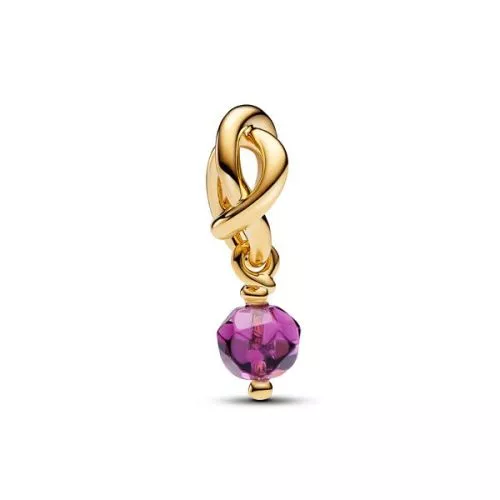 Pandora Faceted Purple Eternity Circle Dangle Charme 763462C02 / Februar-1