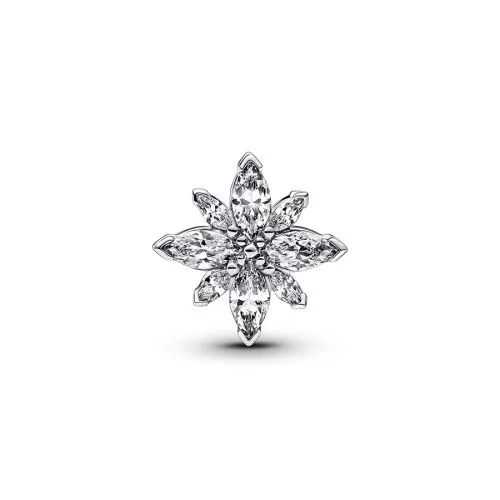 Pandora Sparkling North Star Charme 793591C01-1