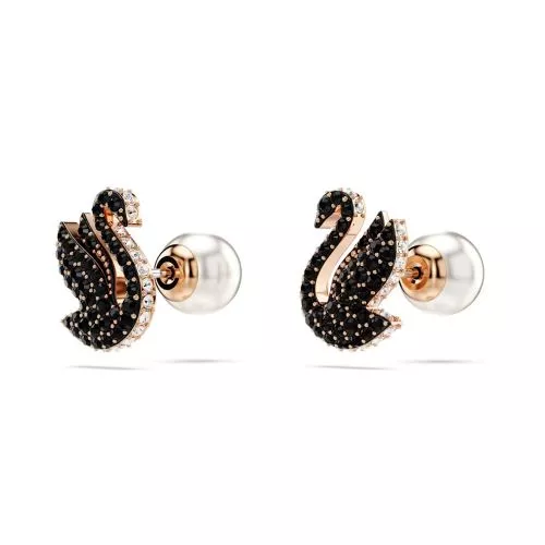 Swarovski Swan korvakorut 5684608-1