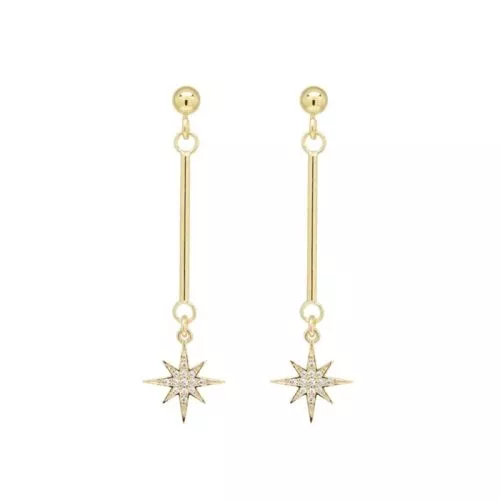 Silberne Ohrringe, vergoldet SX-E2642ZGP