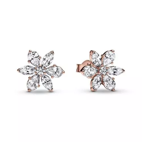 Pandora Timeless Sparkling Herbarium Cluster korvakorut 282407C01-1