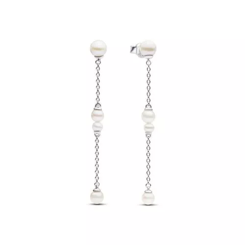 Pandora Timeless korvakorut 293152C01-1