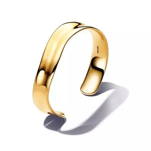 Pandora Open Bangle rannekoru 563302C00-2-1