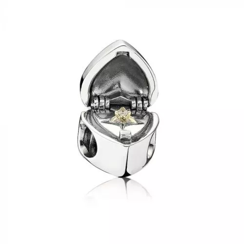 Pandora Gift From the Heart hela 791247CZ-1