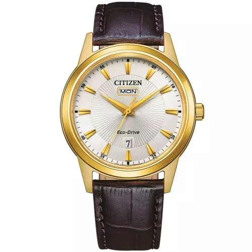Citizen Eco-Drive Classic AW0102-13A-1