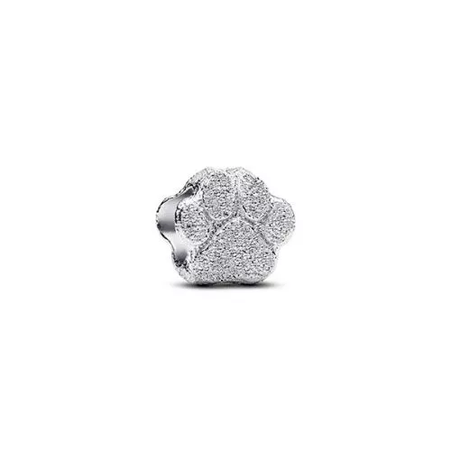 Pandora Textured Paw Mini Charm hela 794043C00