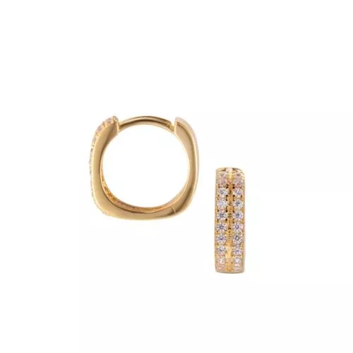 Hopeiset korvakorut / kullattu rengas JD30886/2YG-1