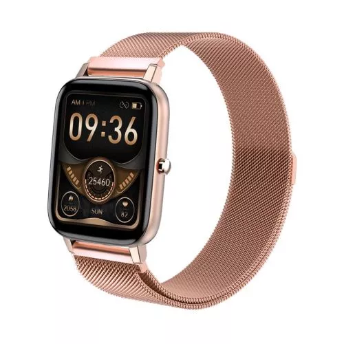 Reebok Relay älykello RELAY GOLD-1