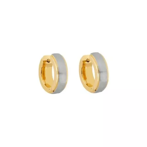 Titanohrringe STE-2485 IPG