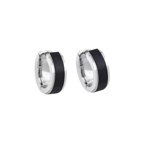 Titan-Ohrringe STE-3013 TT IPB-1