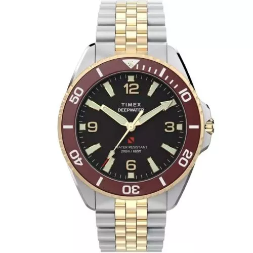 Timex DeepWater Arctic TW2Y64700