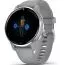 Garmin Venu 2 Plus Powder Grey Silvertone 010-02496-10-1