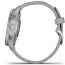 Garmin Venu 2 Plus Powder Grey Silvertone 010-02496-10-3