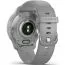 Garmin Venu 2 Plus Powder Grey Silvertone 010-02496-10-4