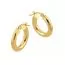 Goldene Ohrringe 100BC 51/99-1