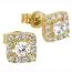 Golden  Zucht Ohrringe EB0067-01-1