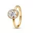 Pandora Oval Sparkling Halo Ring 163802C01