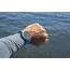 Garmin Quatix 6® Titanium Sapphire 010-02158-95-8