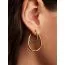 Pandora Organically Shaped Double Hoop Ohrringe 263870C00-2