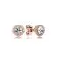 Pandora Classic Elegance -korvakorut 286272CZ-1