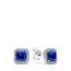 Pandora Timeless Elegance Ohrringe 290591NBT-1
