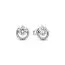 Pandora Sparkling Round Halo korvakorut 291248C01-1