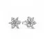 Pandora Herbanium Cluster Ohrringe 292633C01-1