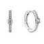 Pandora Sparkling Hoop Ohrringe 299406C01-1