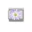 Nomination Classic Purple Flower 330321/03-1