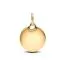 Pandora Engravable Round Tag Dangle Charme 368610C00-1