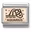 Nomination Classic Rose Gold horoskooppi Vesimies 430112/11-1