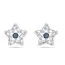 Swarovski Stella korvakorut 5639188-1